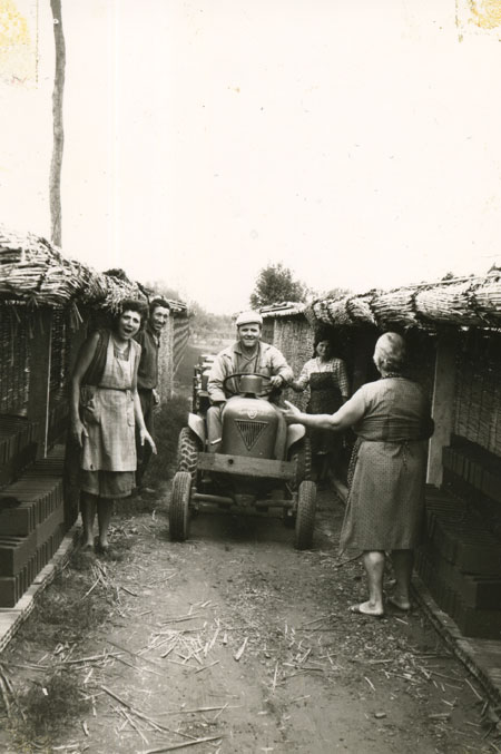 Treossi-Fornace-00199191 - Copia.jpg